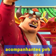 acompanhantes pvh